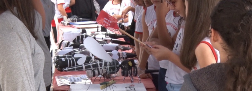 Vigilância Ambiental realiza Dia D contra a Dengue em Pará de Minas