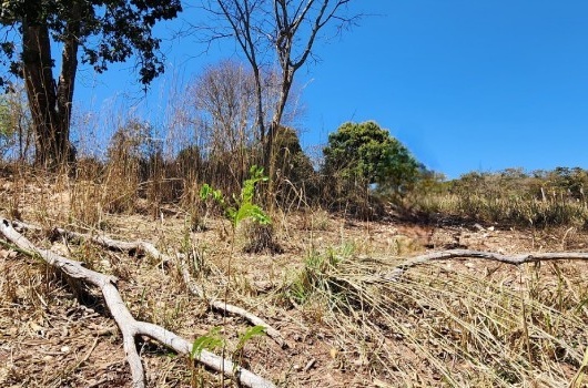 Produtor afetado pela seca em Minas poderá renegociar dívidas