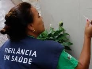 Dengue: Brasil Registra Mais de 6,4 Milhões de Casos em 2024 e 5.972 Mortes