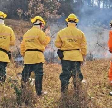 Minas tem 280 vagas abertas para brigadistas florestais com salário de R$ 1,5 mil