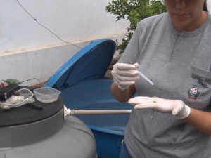 Em novo LIRAa, Pará de Minas apresenta queda brusca nos focos de Dengue